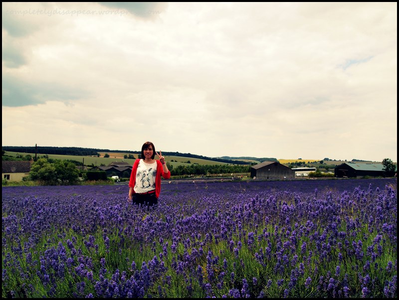 Me and Lavenders in Cotswold | UK | 2011